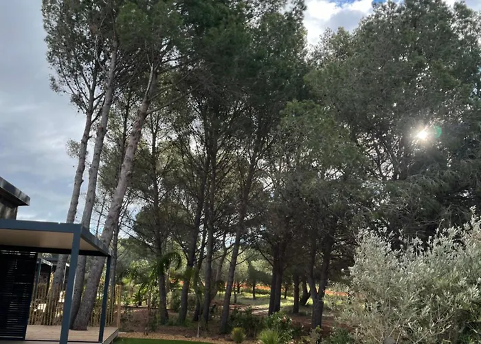 Premium Au Coeur De La Pinede, Ideal Pour Des En Familles Et Entre Amis * Agde