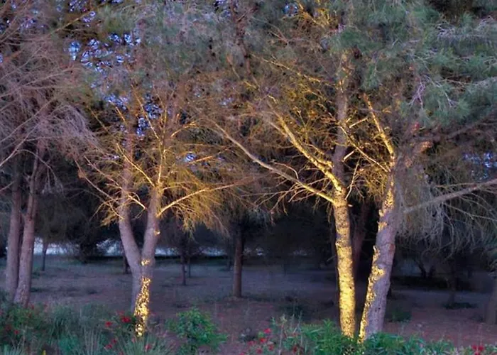 Σπίτι διακοπών Premium Au Coeur De La Pinede, Ideal Pour Des En Familles Et Entre Amis